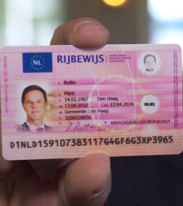 Nep rijbewijs maken